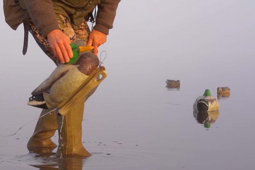 Discover the Thrills of Duck Hunting in Uruguay: Why It Reigns Supreme